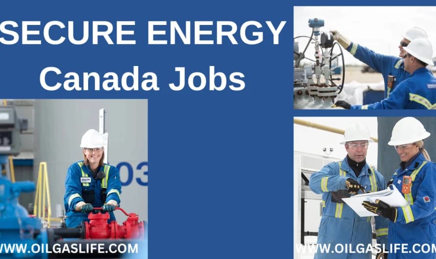 Mechanical/Process Commissioning Lead